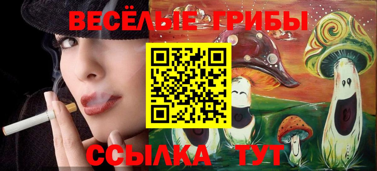 Псилоцибиновые грибы прущие грибы  как найти закладки  Назарово  Вход с VPN  Псилоцибиновые грибы мицелий 